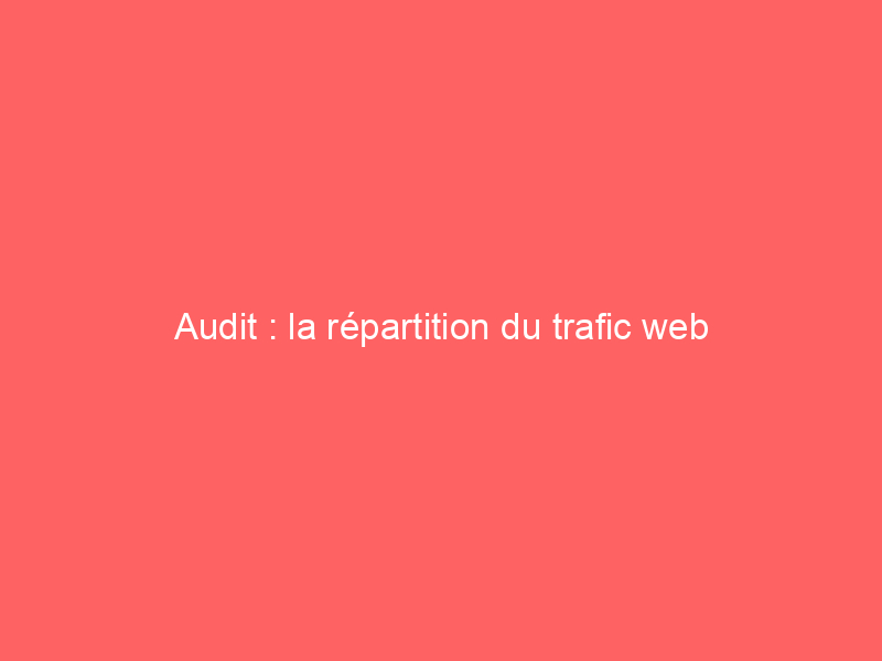 Graphique représentant l'audit de la répartition du trafic web avec des sections colorées.