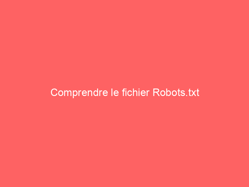 Texte sur fond rouge indiquant 'Comprendre le fichier Robots.txt'.
