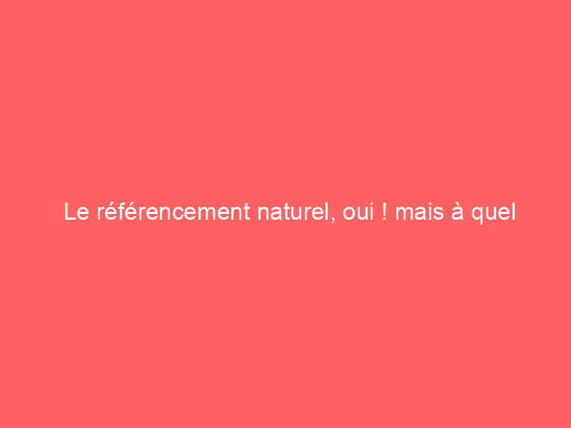 Texte sur fond rouge disant 'Le référencement naturel, oui ! mais à quel prix'.