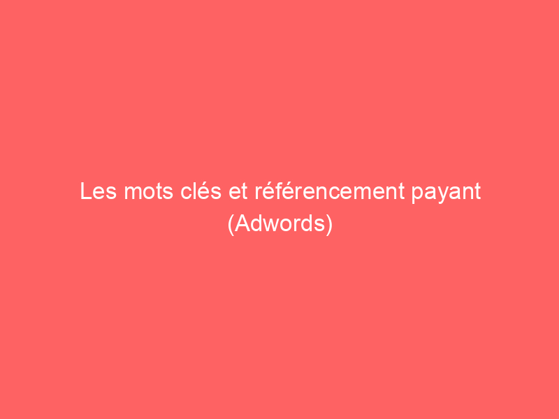 Texte sur un fond rose indiquant 'Les mots clés et référencement payant (Adwords)'.