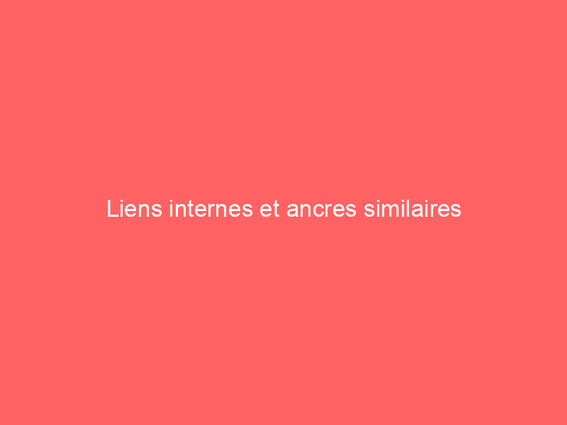 Texte sur un fond rose indiquant 'Liens internes et ancres similaires'.