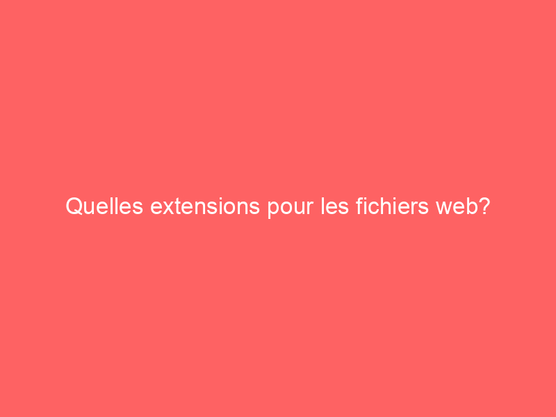Texte sur fond rouge demandant quelles extensions pour les fichiers web.