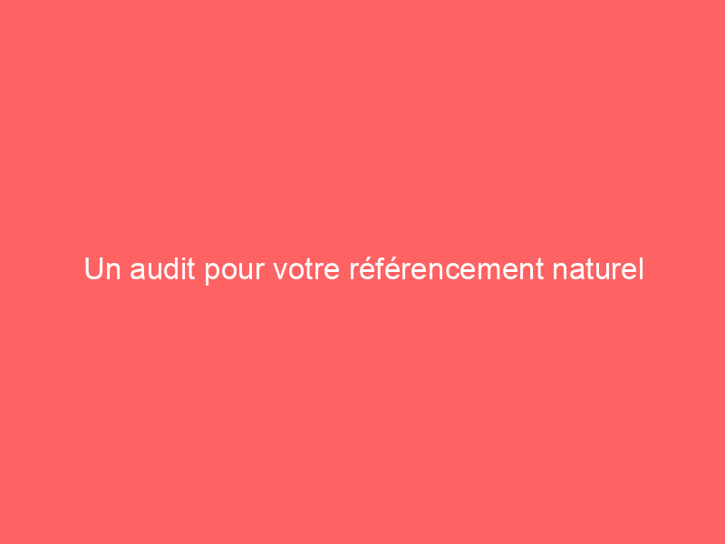 Texte sur fond rouge indiquant 'Un audit pour votre référencement naturel'.