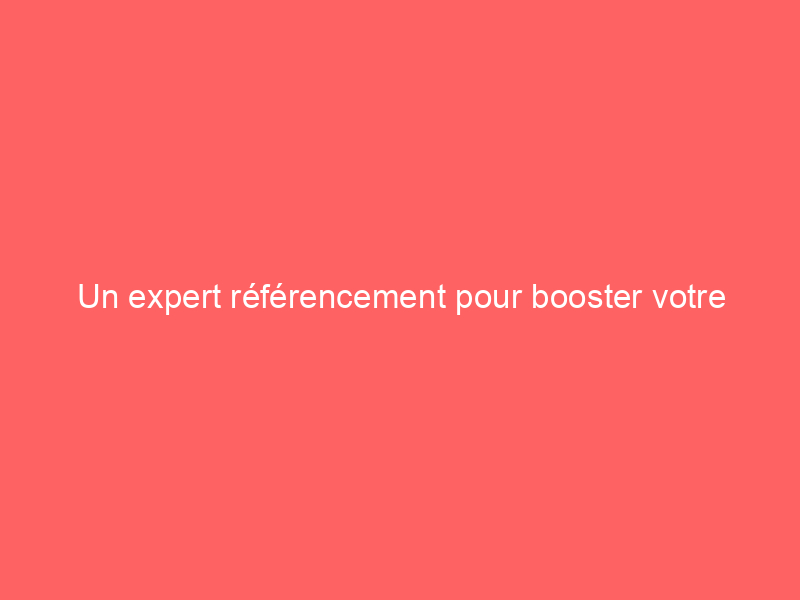 Texte blanc sur un fond rouge indiquant 'Un expert référencement pour booster votre activité'.